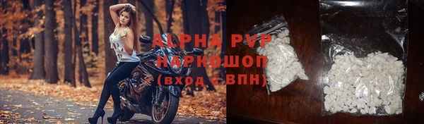 индика Нефтегорск