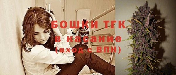 индика Нефтегорск