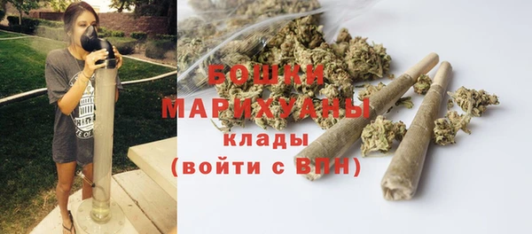 индика Нефтегорск