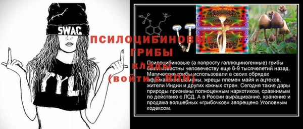 ГАЛЛЮЦИНОГЕННЫЕ ГРИБЫ Нея